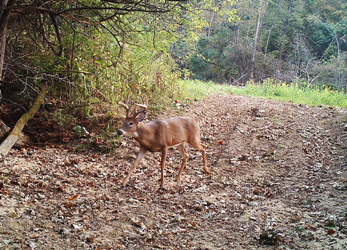 Last-Minute Hunting Opportunities Still Available at Shuhart Creek